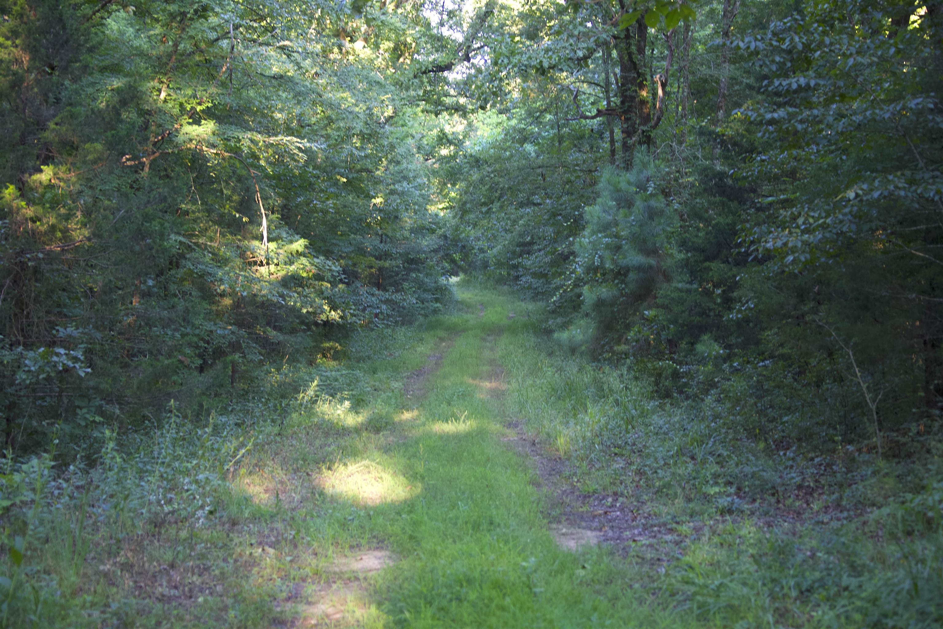 2530 West Fork Rd Property Photo 22