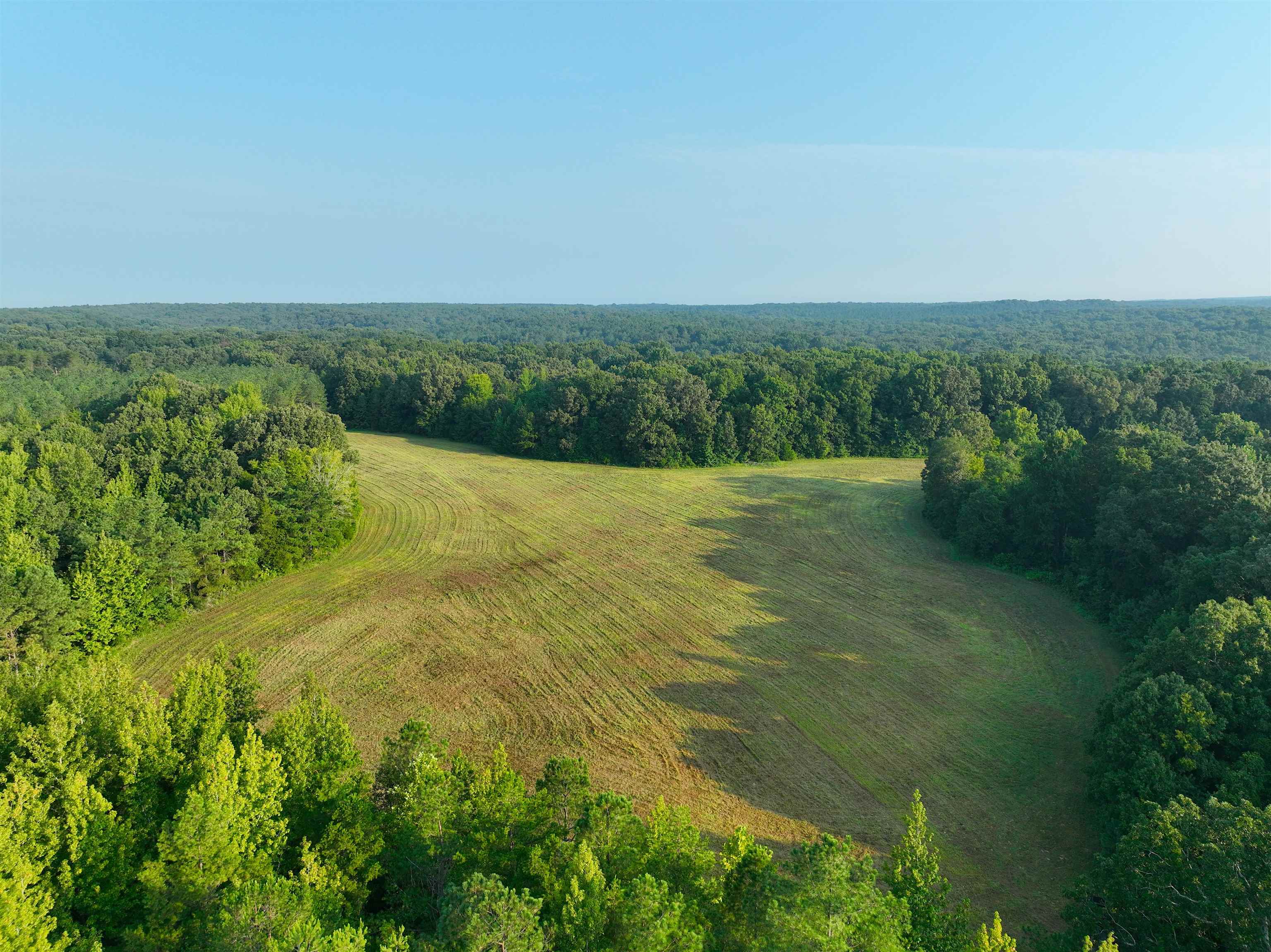 2530 West Fork Rd Property Photo 31