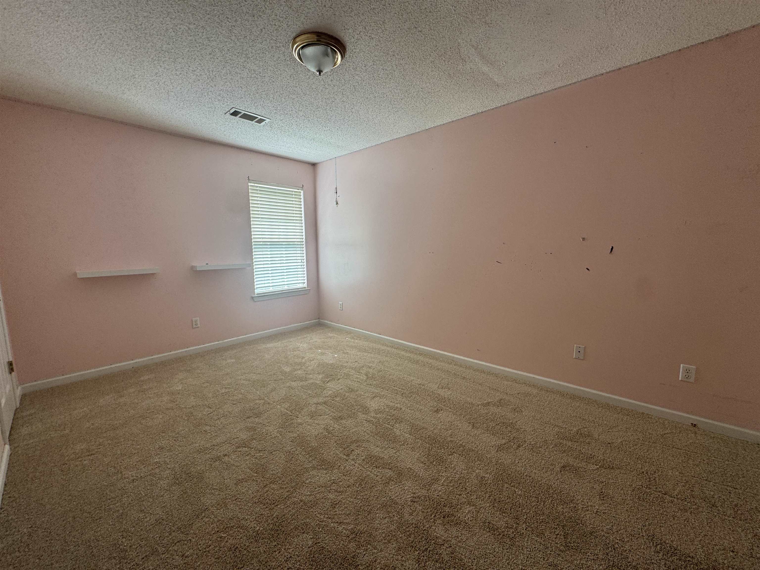 11805 Patrick St Property Photo 20