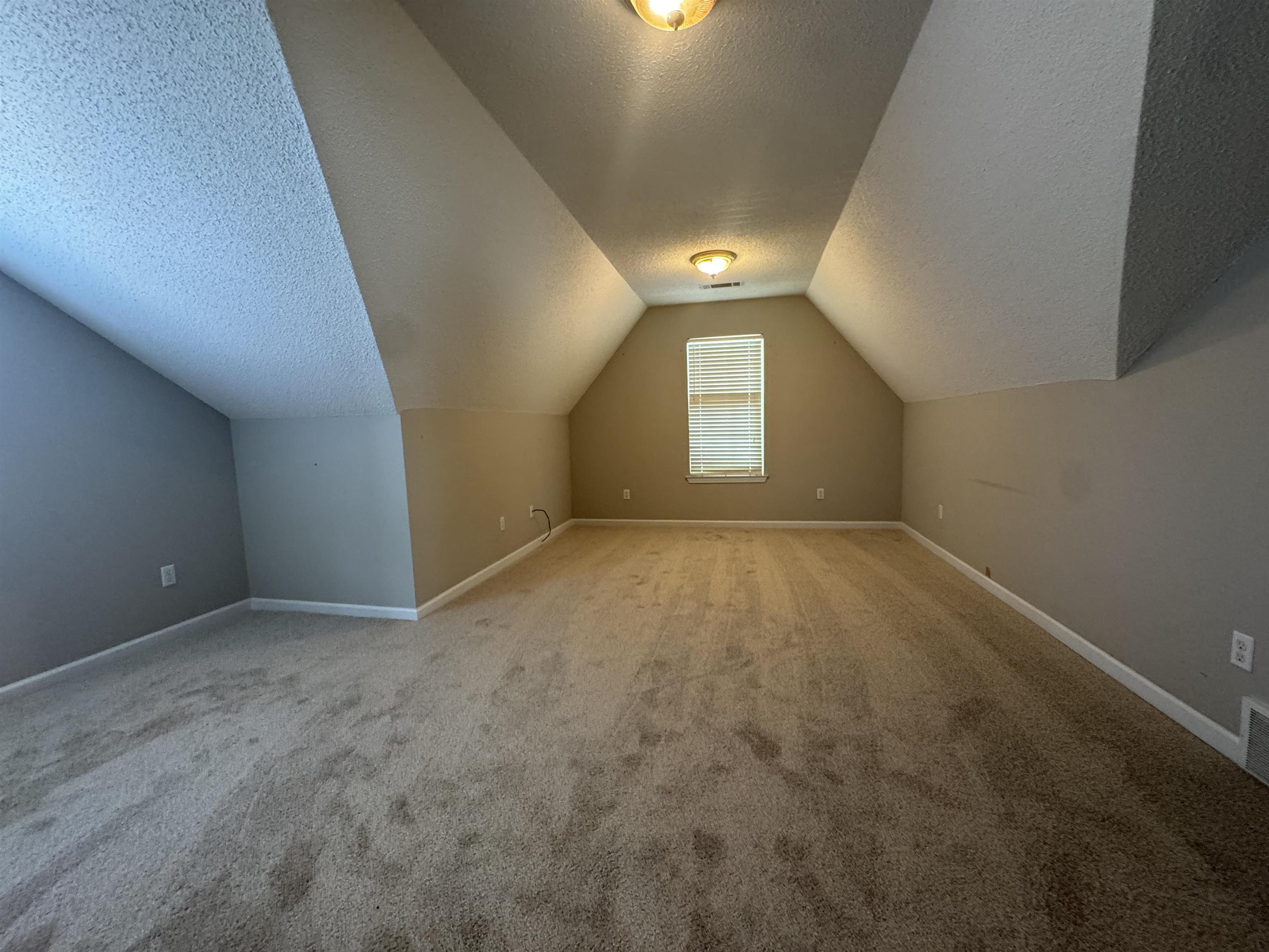 11805 Patrick St Property Photo 22
