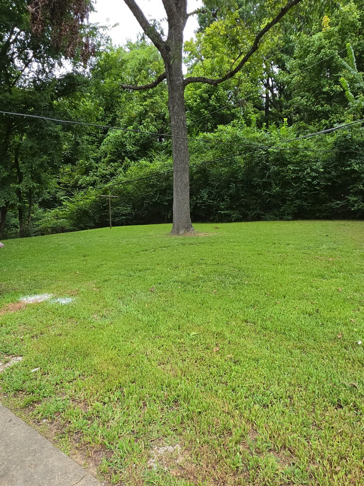 4310 Mountain Ter Property Photo 7