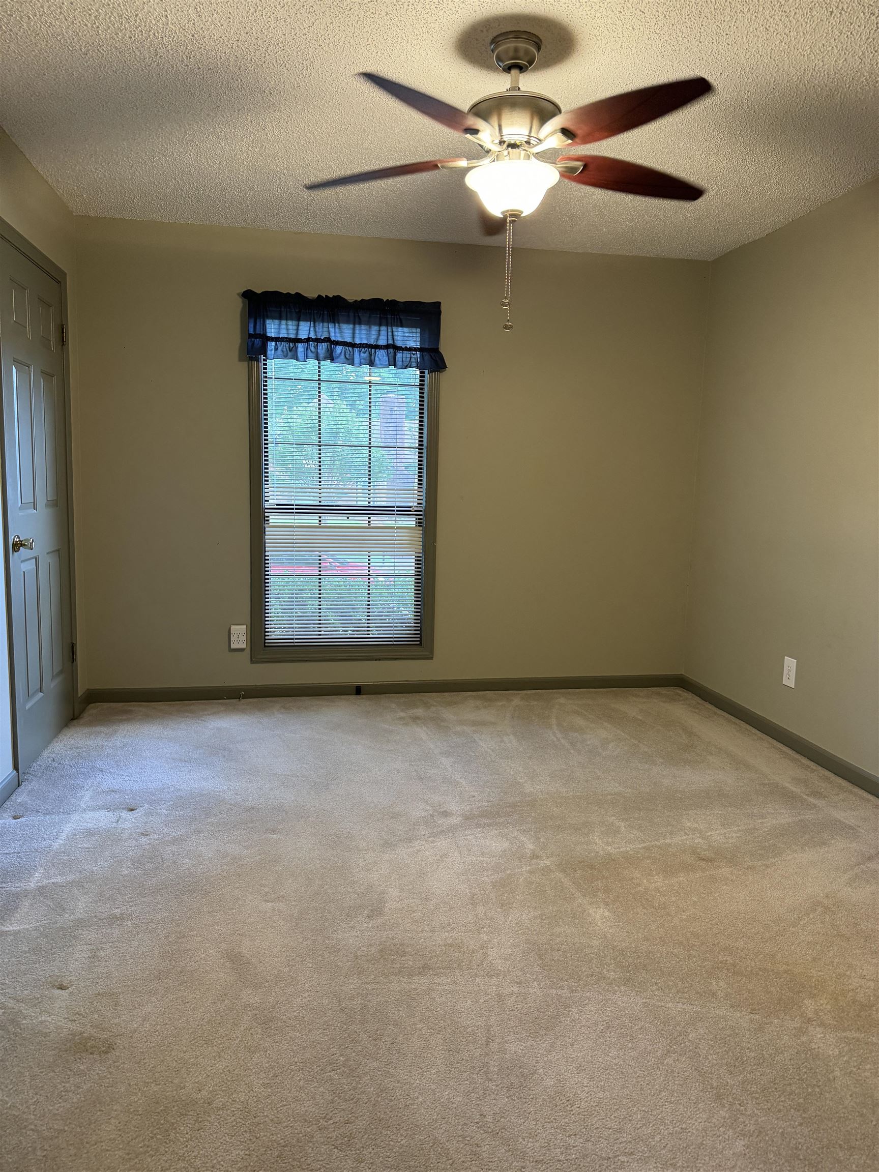 7180 Skidmore Cv Property Photo 15