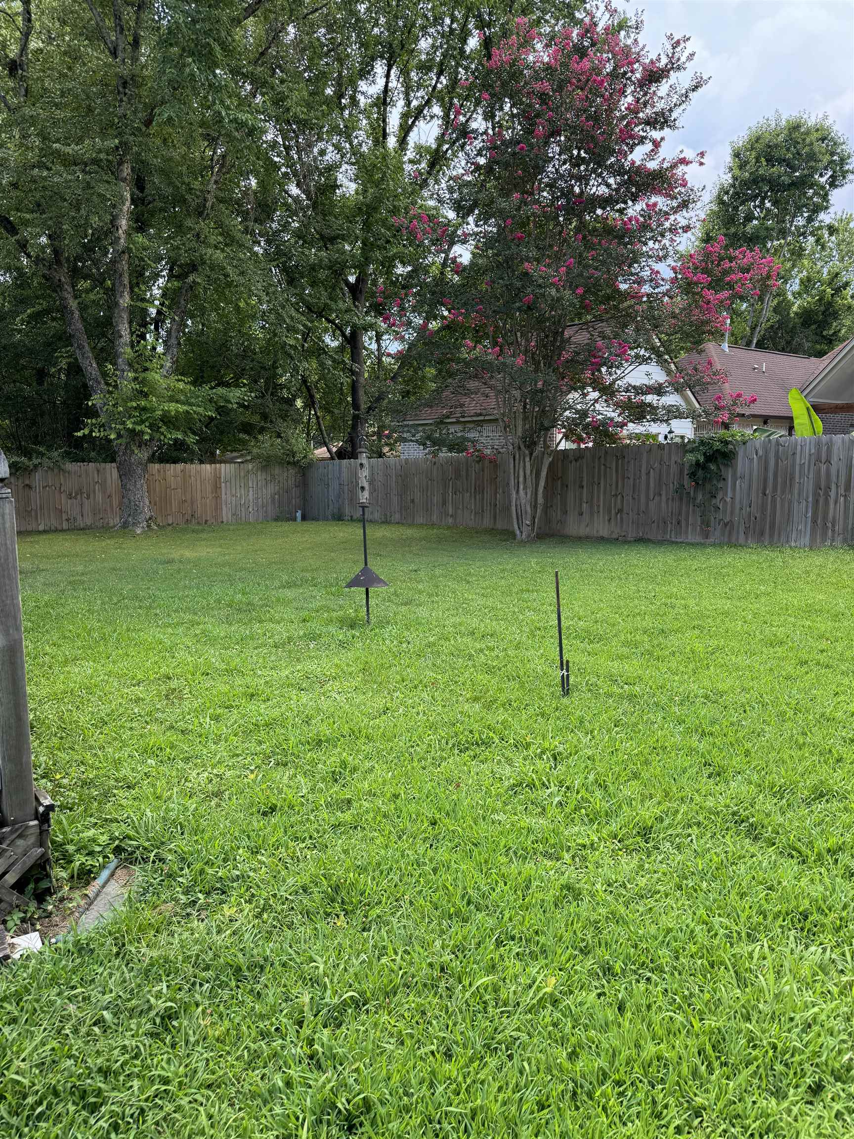 7180 Skidmore Cv Property Photo 20