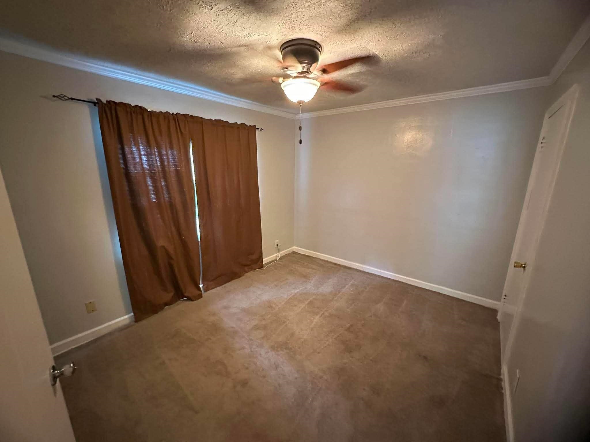 3554 Tutwiler Ave Property Photo 15
