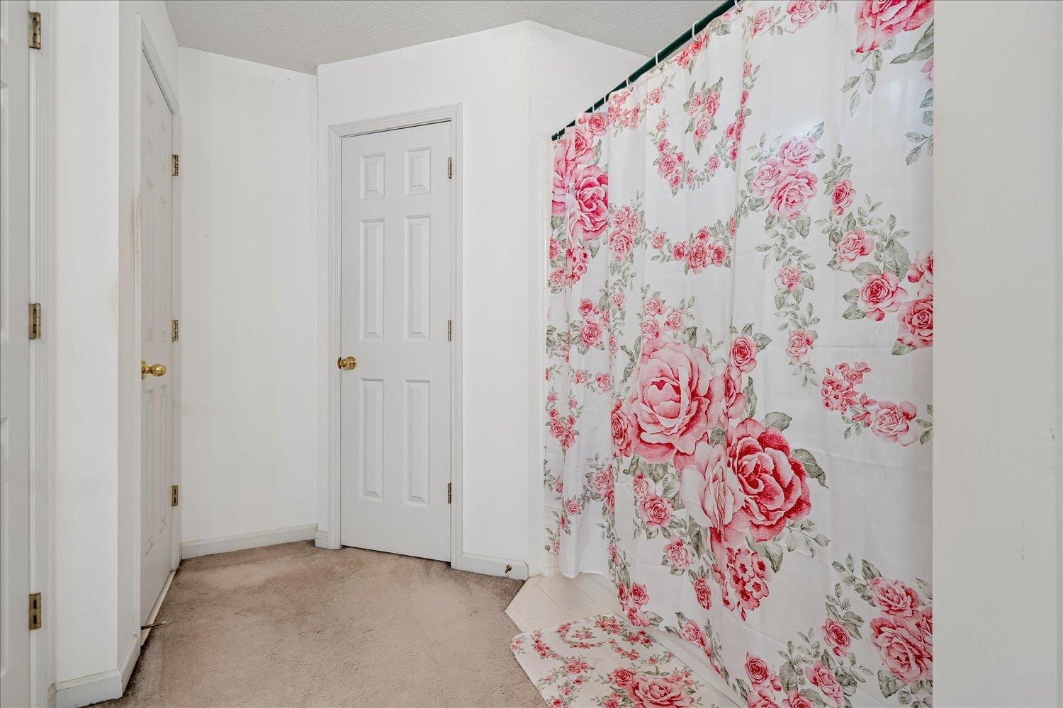 8889 Chimneyrock Blvd Property Photo 28
