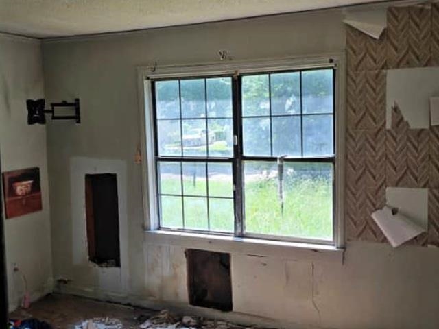 529 Julia St Property Photo 4