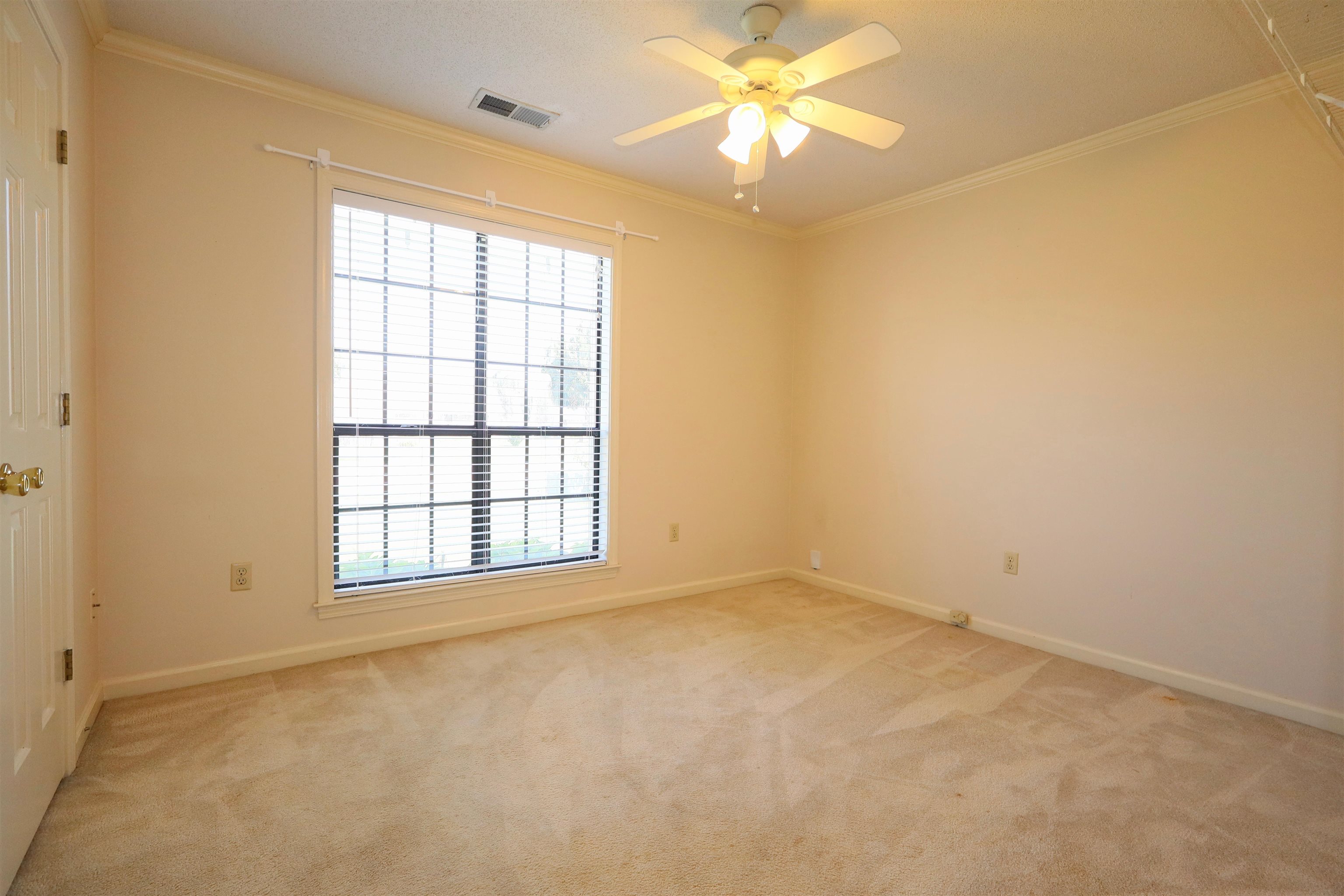 6853 Andrews Rd Property Photo 24