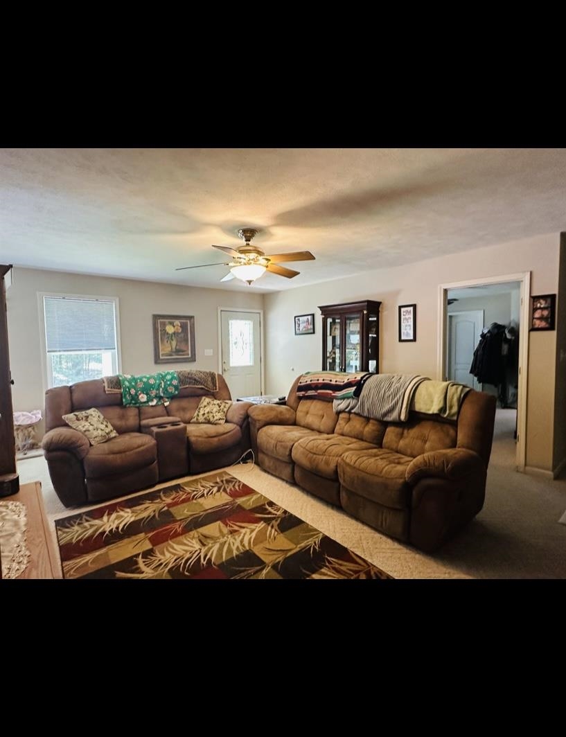 220 Wayne Elam Rd Property Photo 4