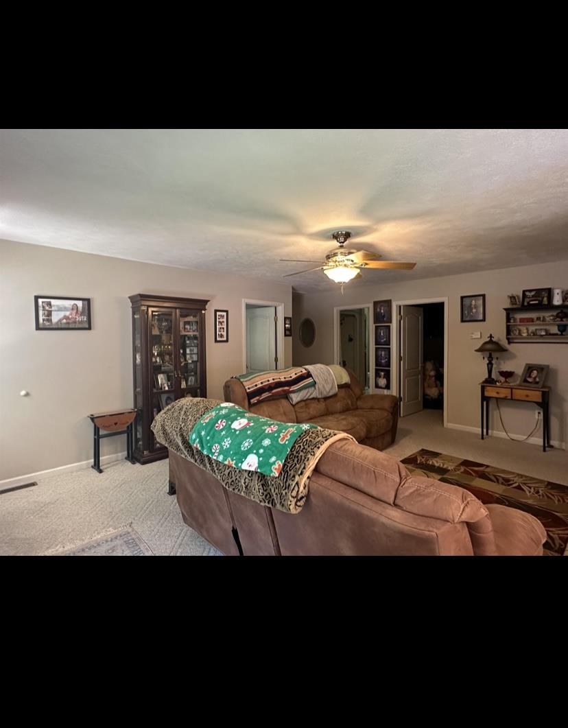 220 Wayne Elam Rd Property Photo 5