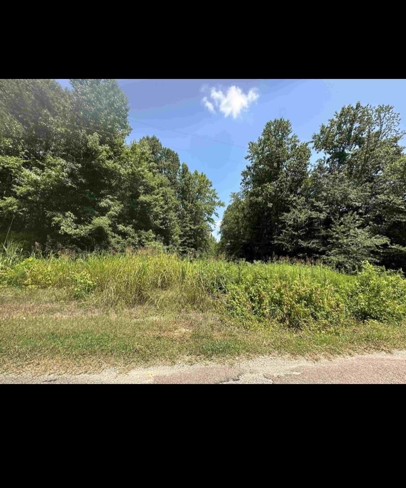 220 Wayne Elam Rd Property Photo 25