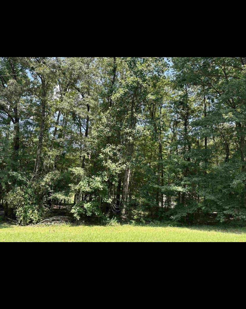 220 Wayne Elam Rd Property Photo 27