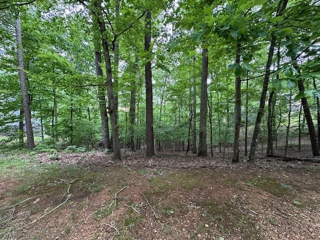 00 Anderson Hollow Rd Property Photo 2