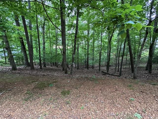 00 Anderson Hollow Rd Property Photo 3