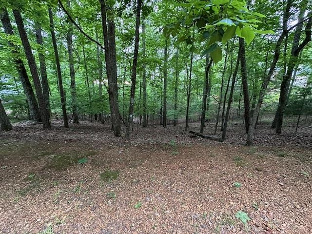 00 Anderson Hollow Rd Property Photo 6