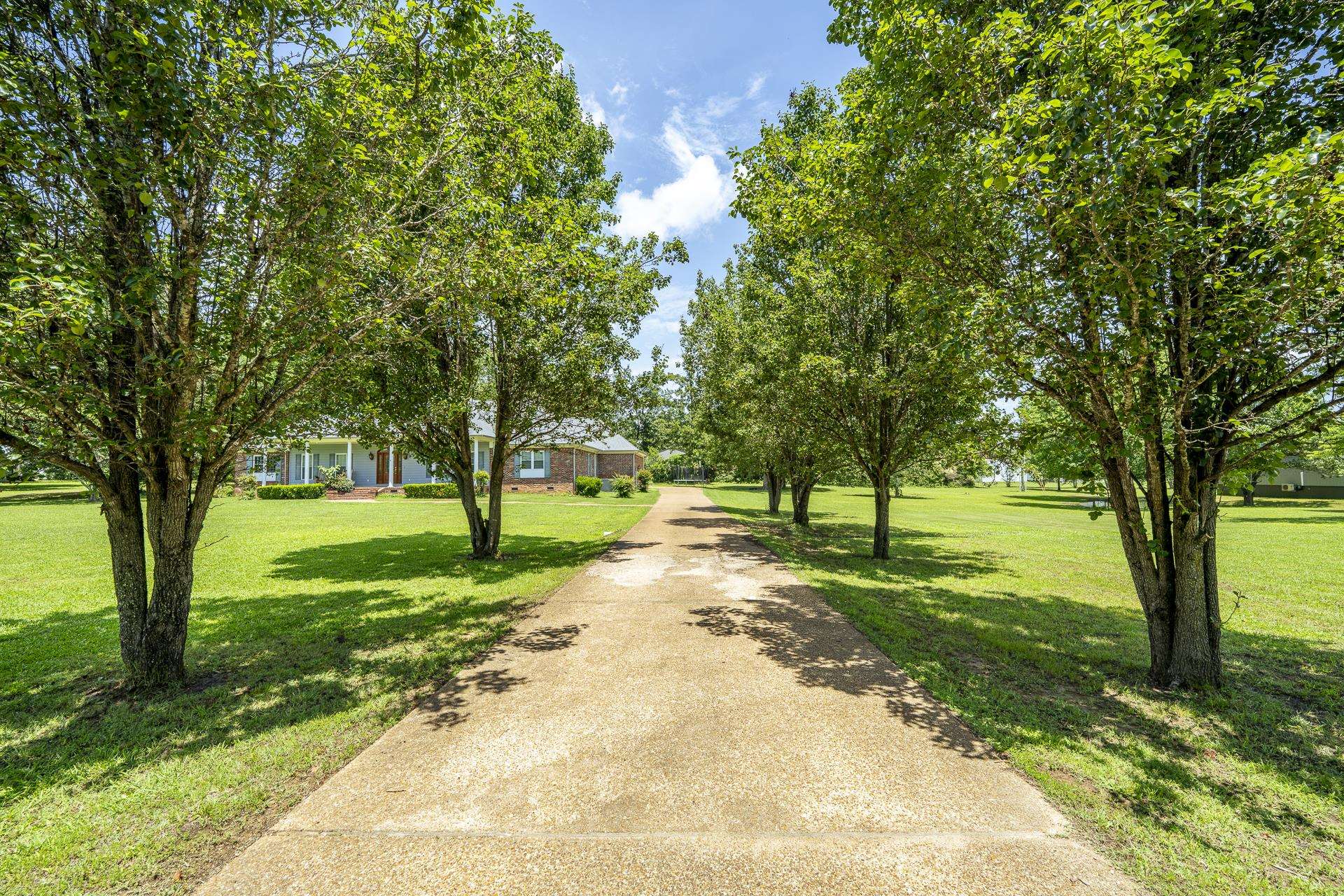 809 Twelve Oaks Dr Property Photo 5