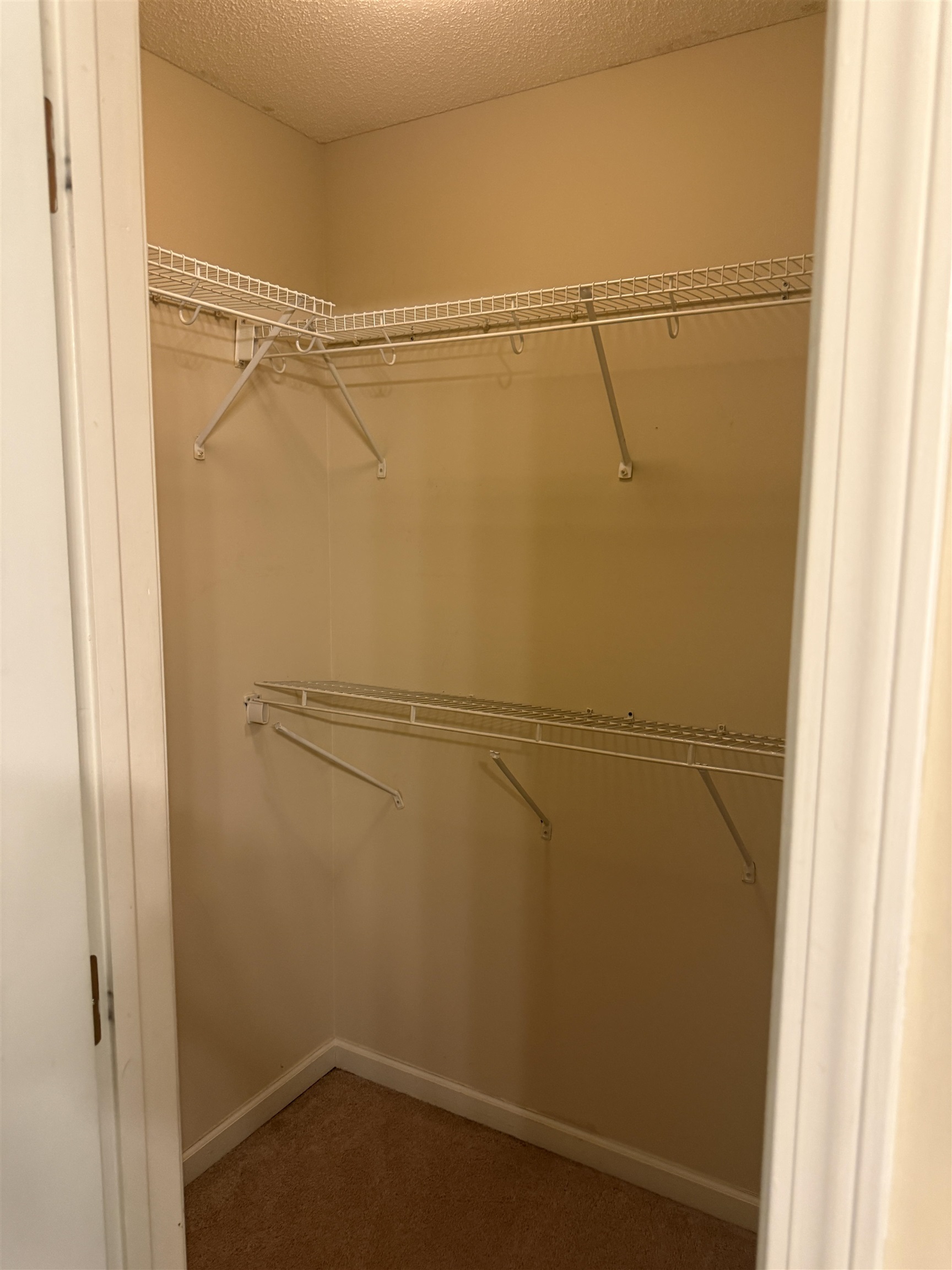 10389 Redmond Dr Property Photo 4