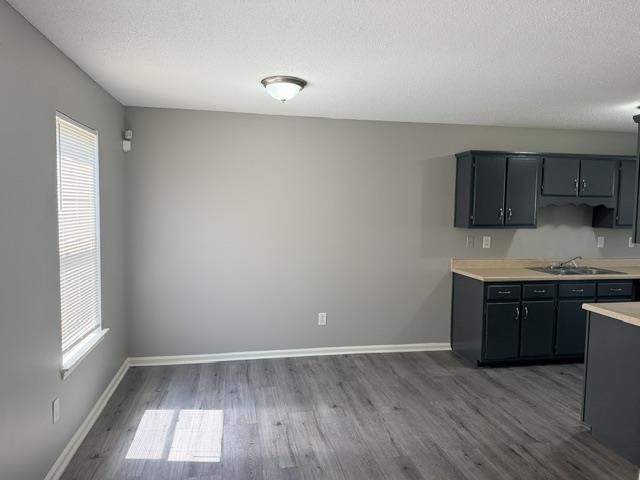 3929 Chelsea Hill Dr Property Photo 6