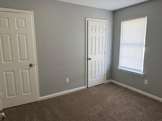 3929 Chelsea Hill Dr Property Photo 11