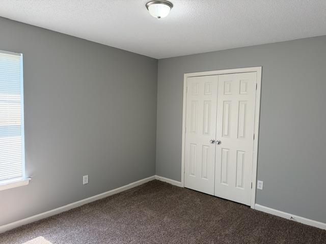 3929 Chelsea Hill Dr Property Photo 12