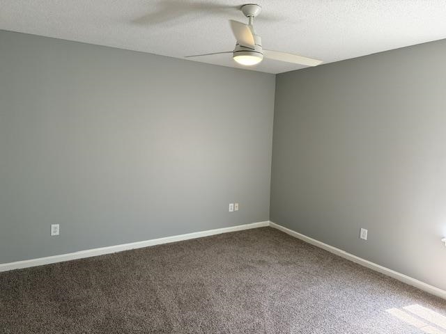 3929 Chelsea Hill Dr Property Photo 22