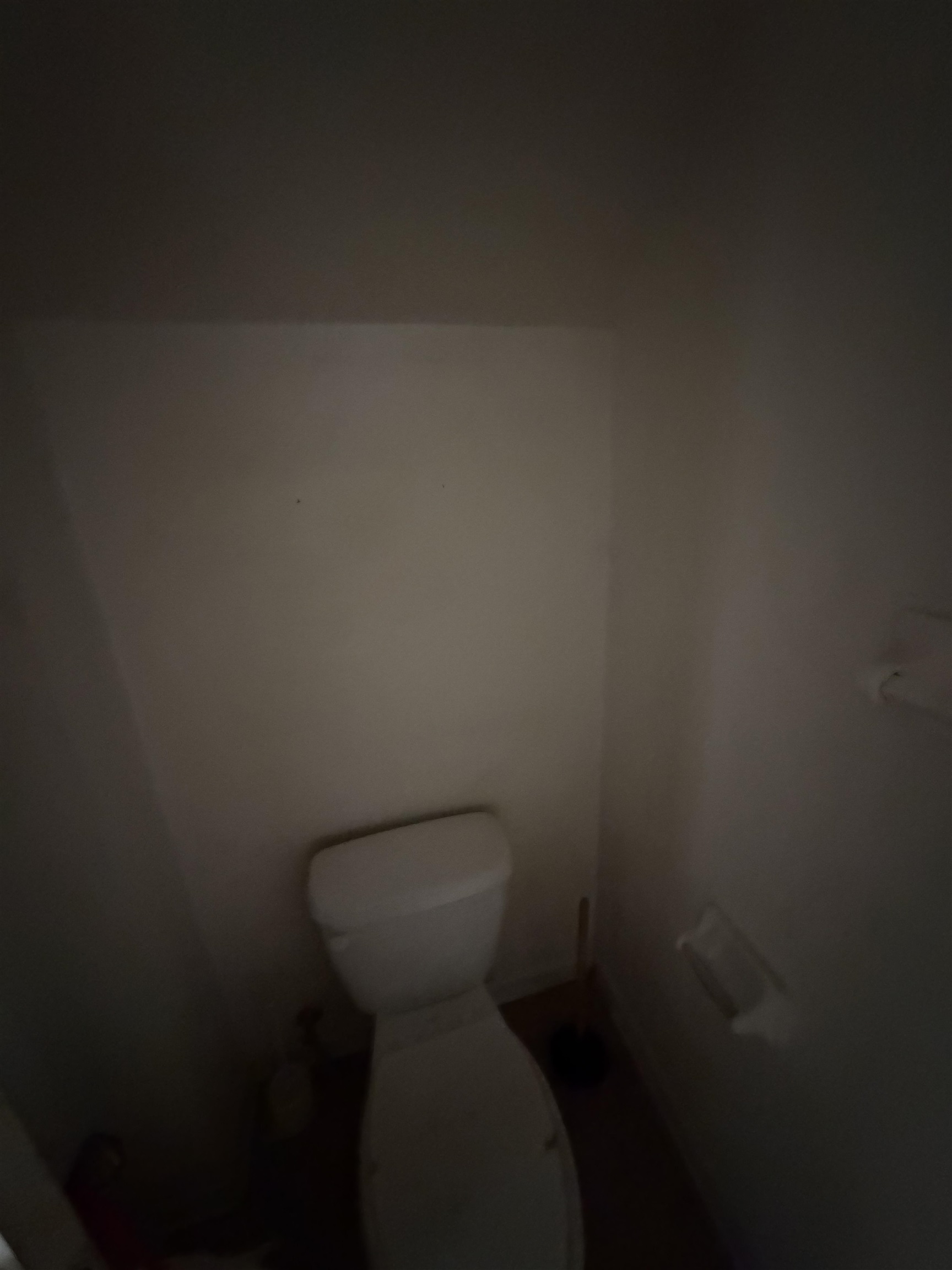 1728 Fox Hunt Ln 1728 Property Photo 13