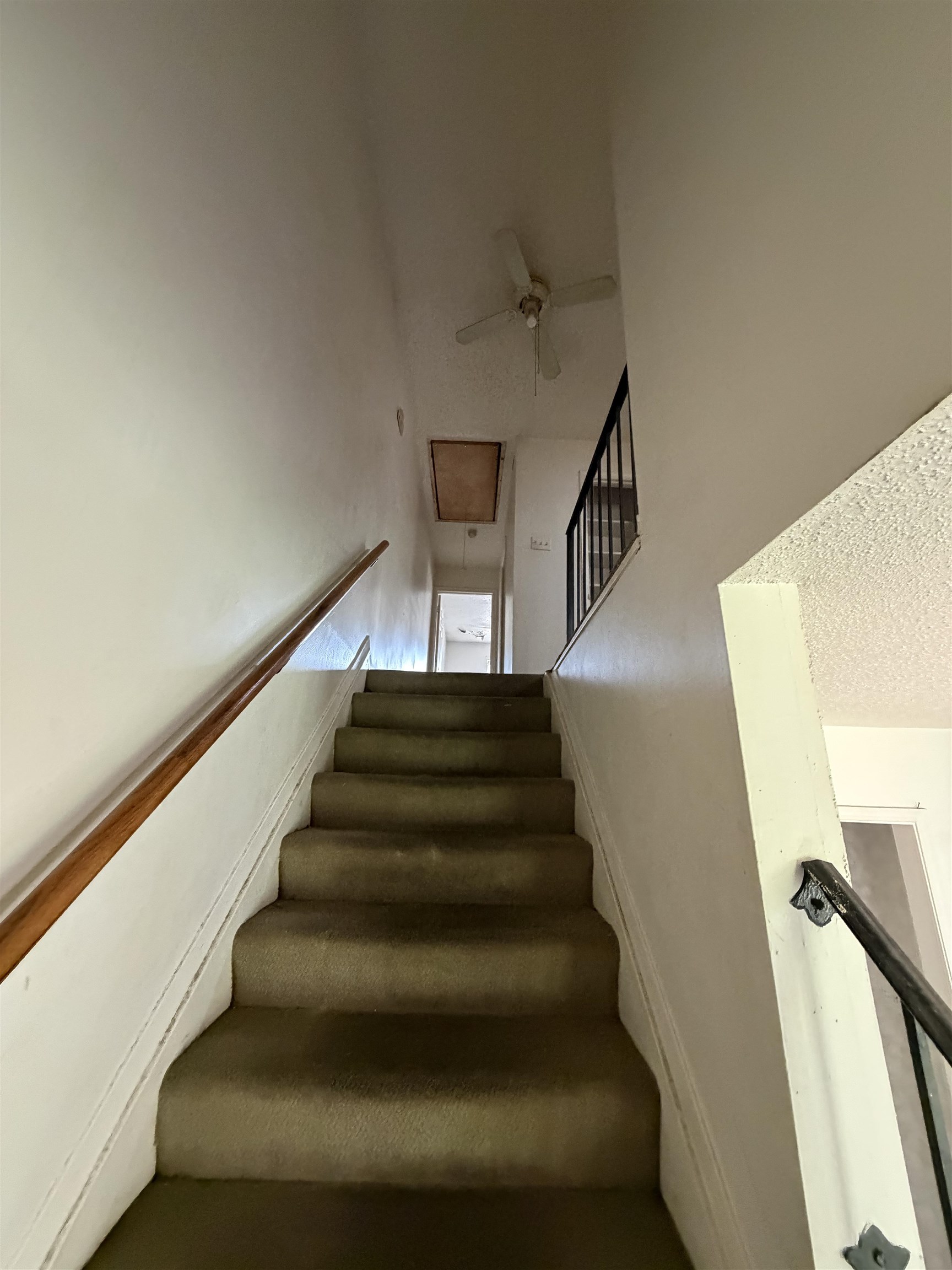 1728 Fox Hunt Ln 1728 Property Photo 15