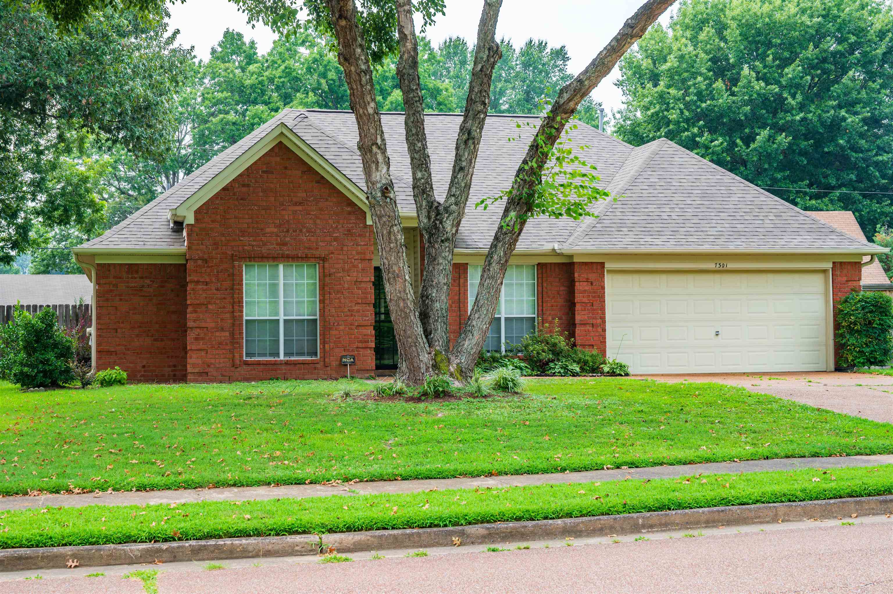 7301 Gail Dr Property Photo 1
