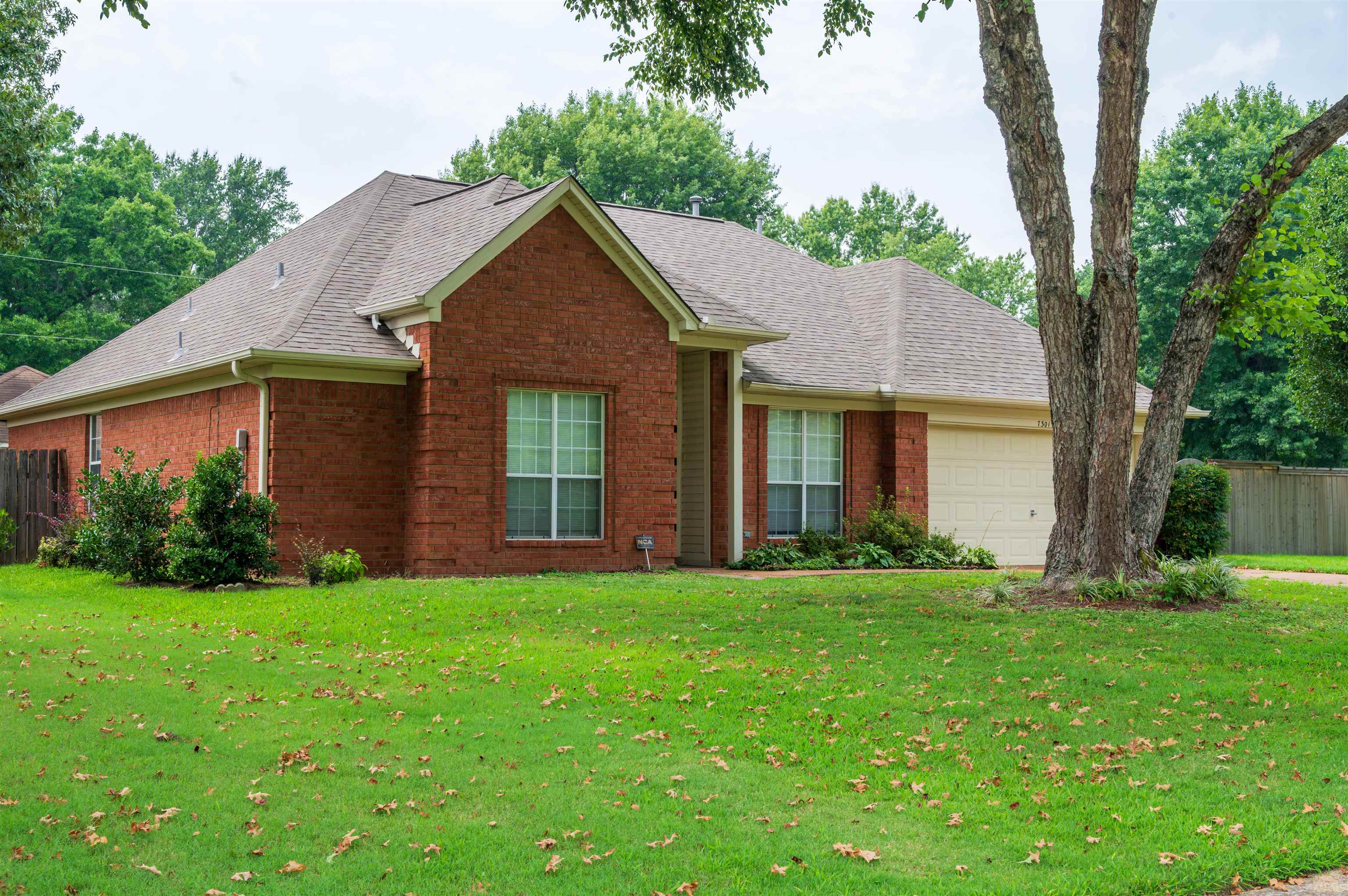 7301 Gail Dr Property Photo 3