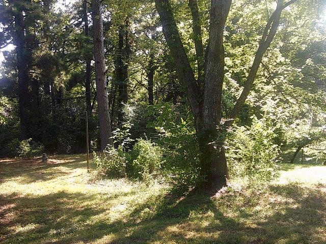 3605 Merritt Ave Property Photo 18