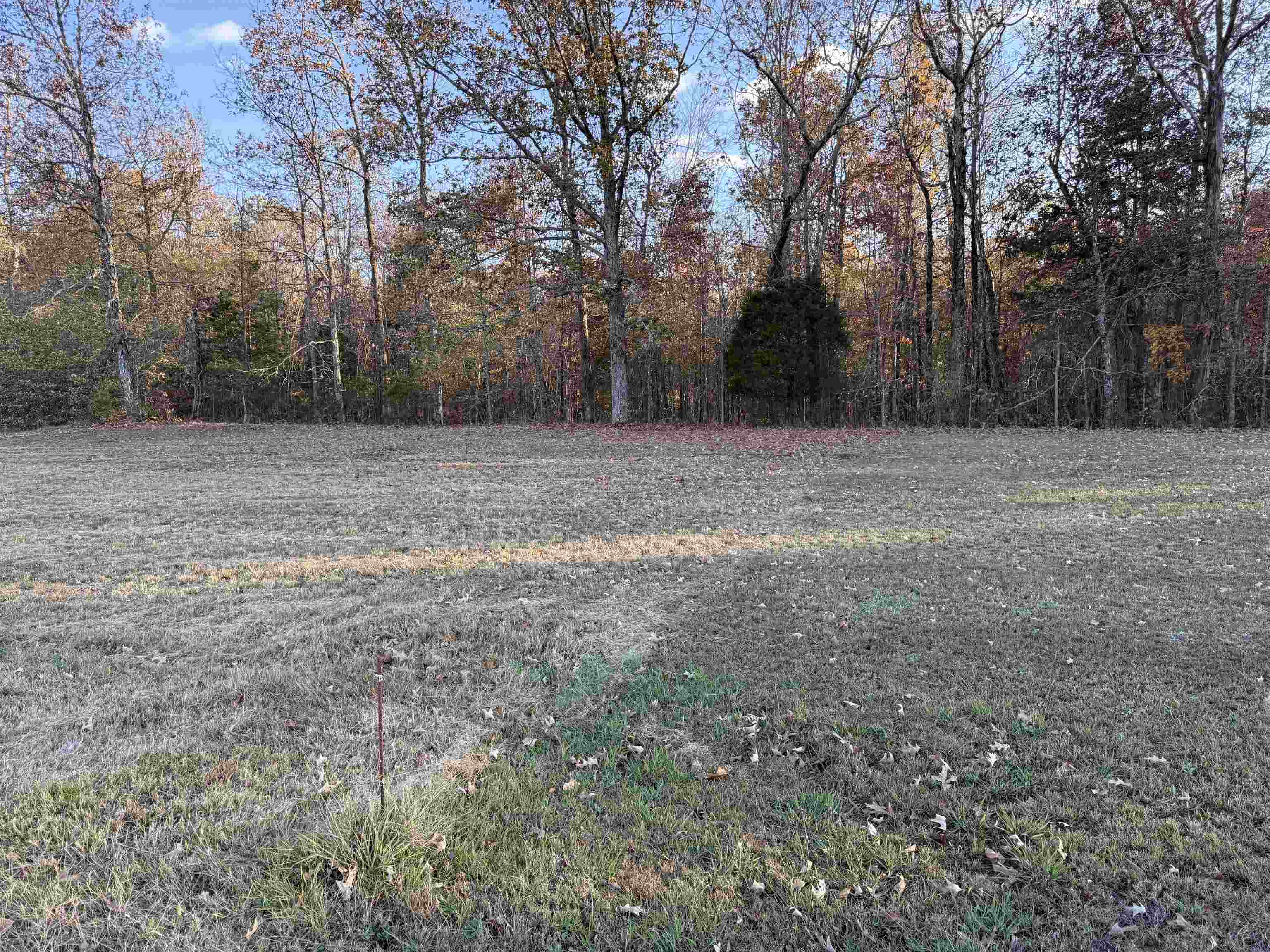 Falcon Cv Property Photo 2