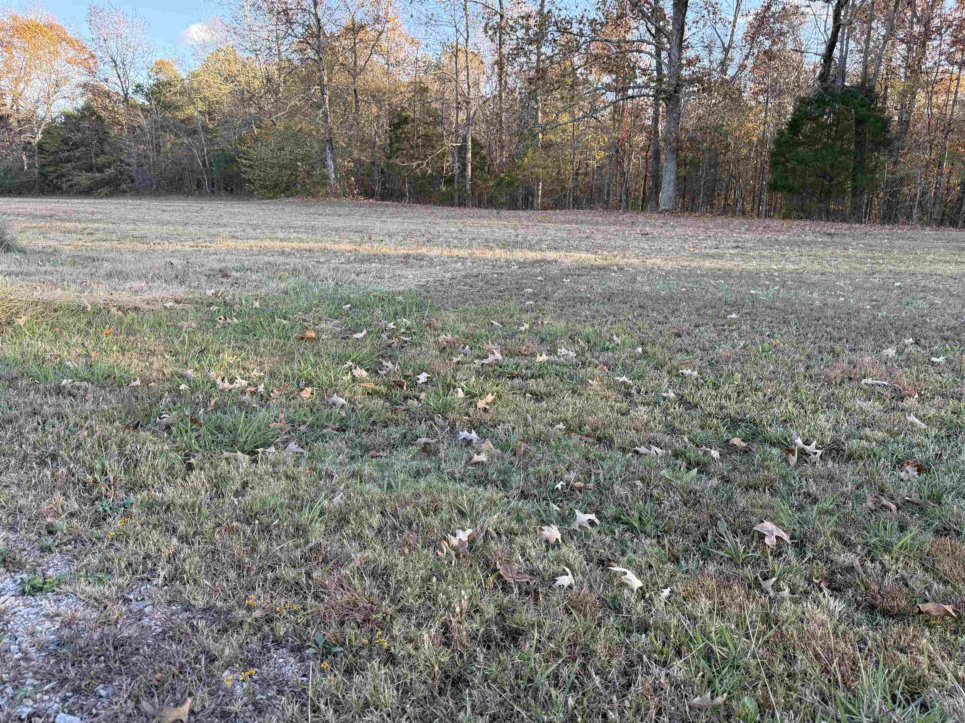 Falcon Cv Property Photo 3