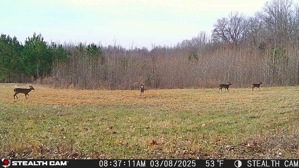 870 Price Rd Property Photo 21