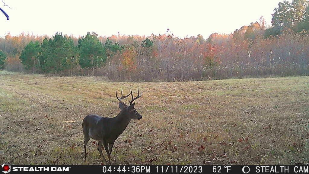870 Price Rd Property Photo 22