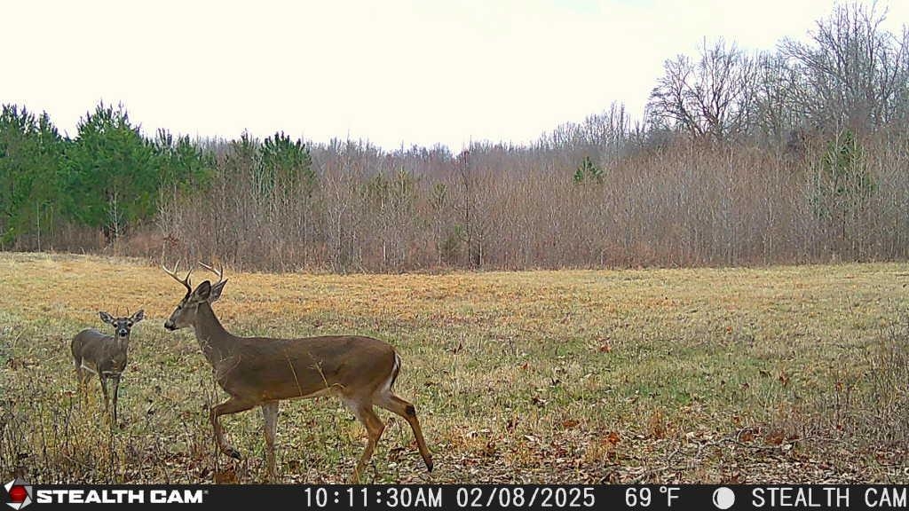 870 Price Rd Property Photo 25