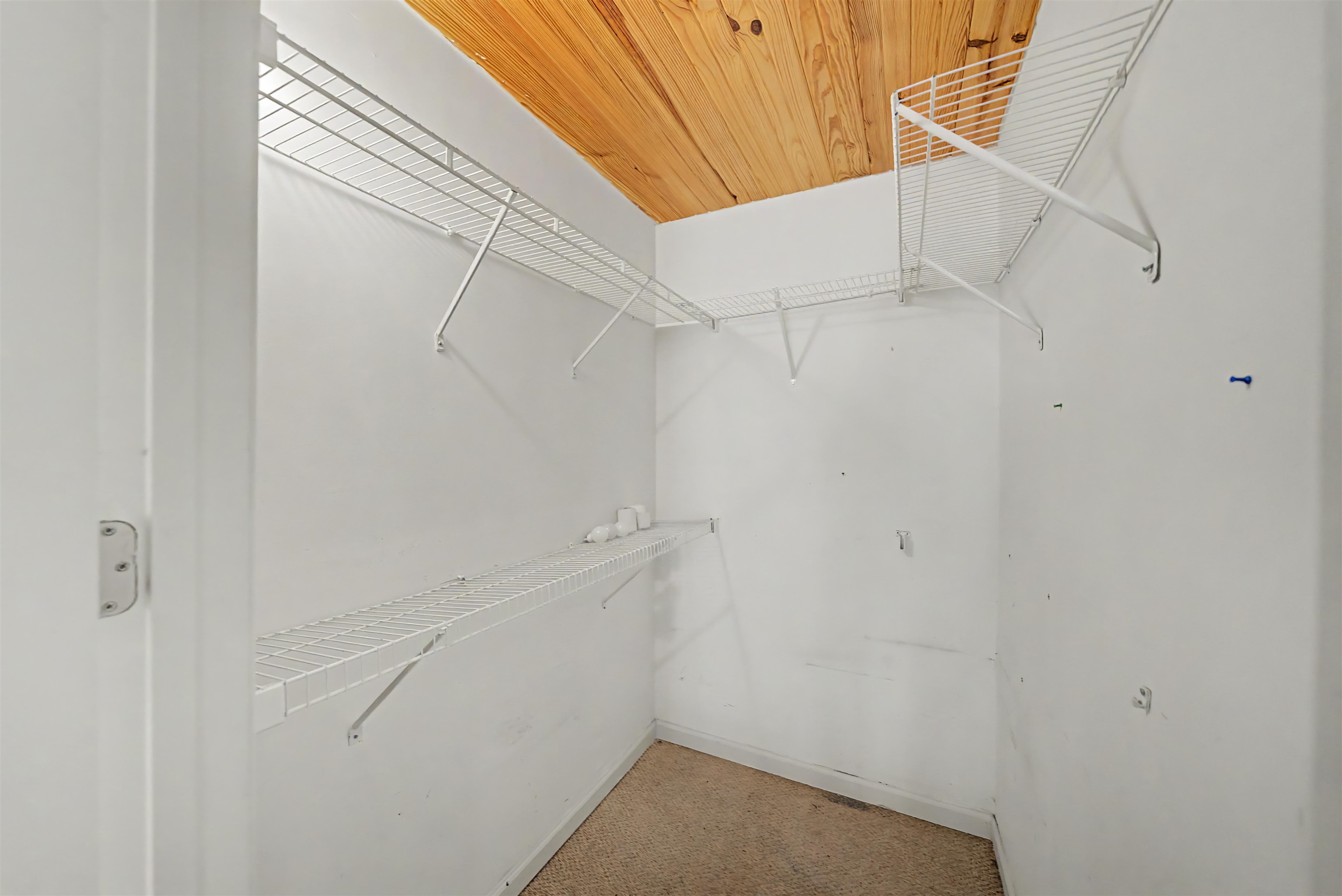66 Woodrun Dr Property Photo 17
