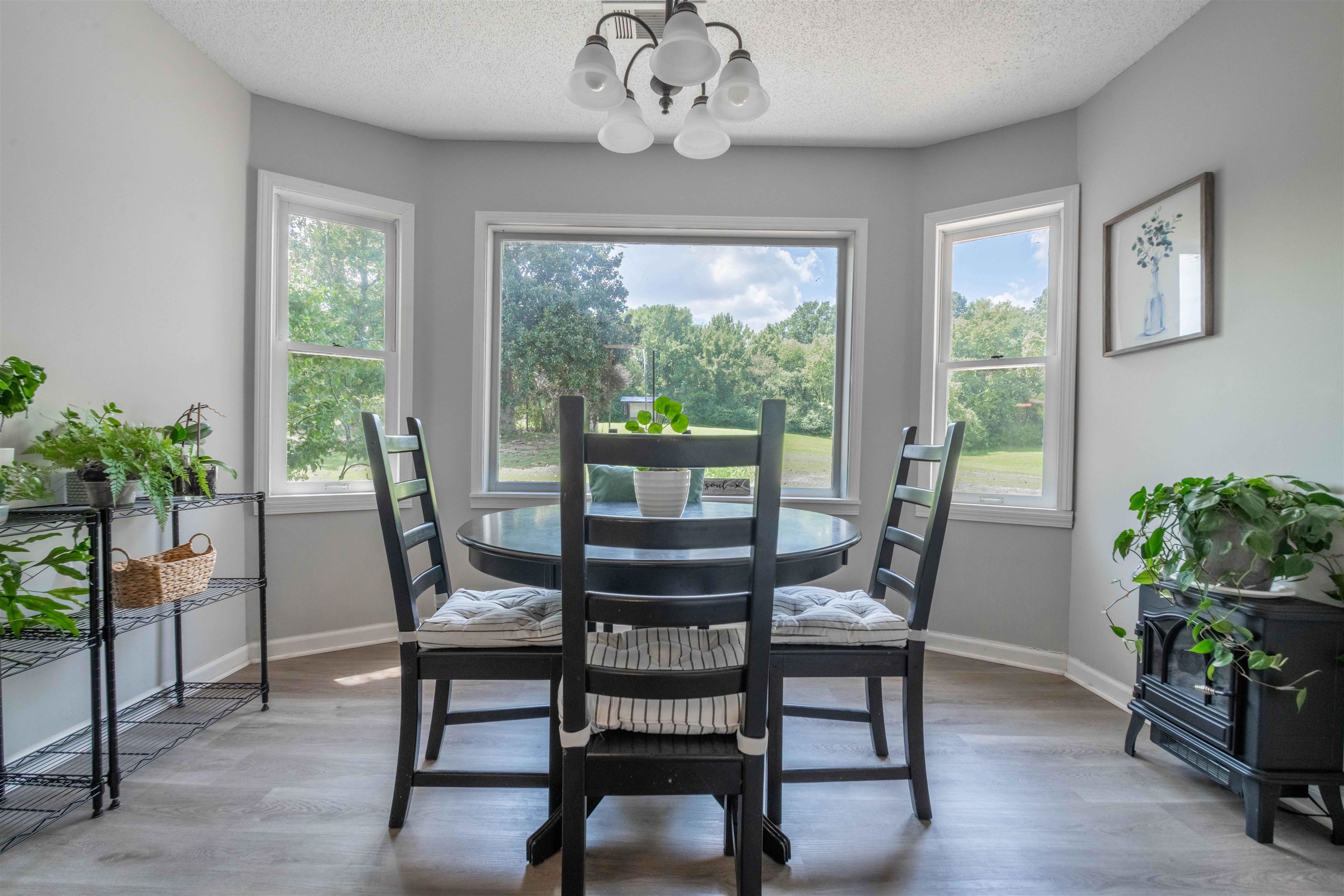 205 Blue Gray Cir Property Photo 8