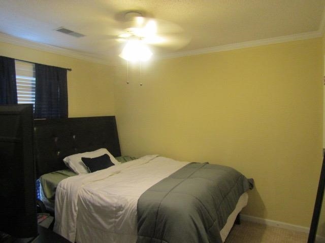 801 Rain Dance Way Property Photo 11
