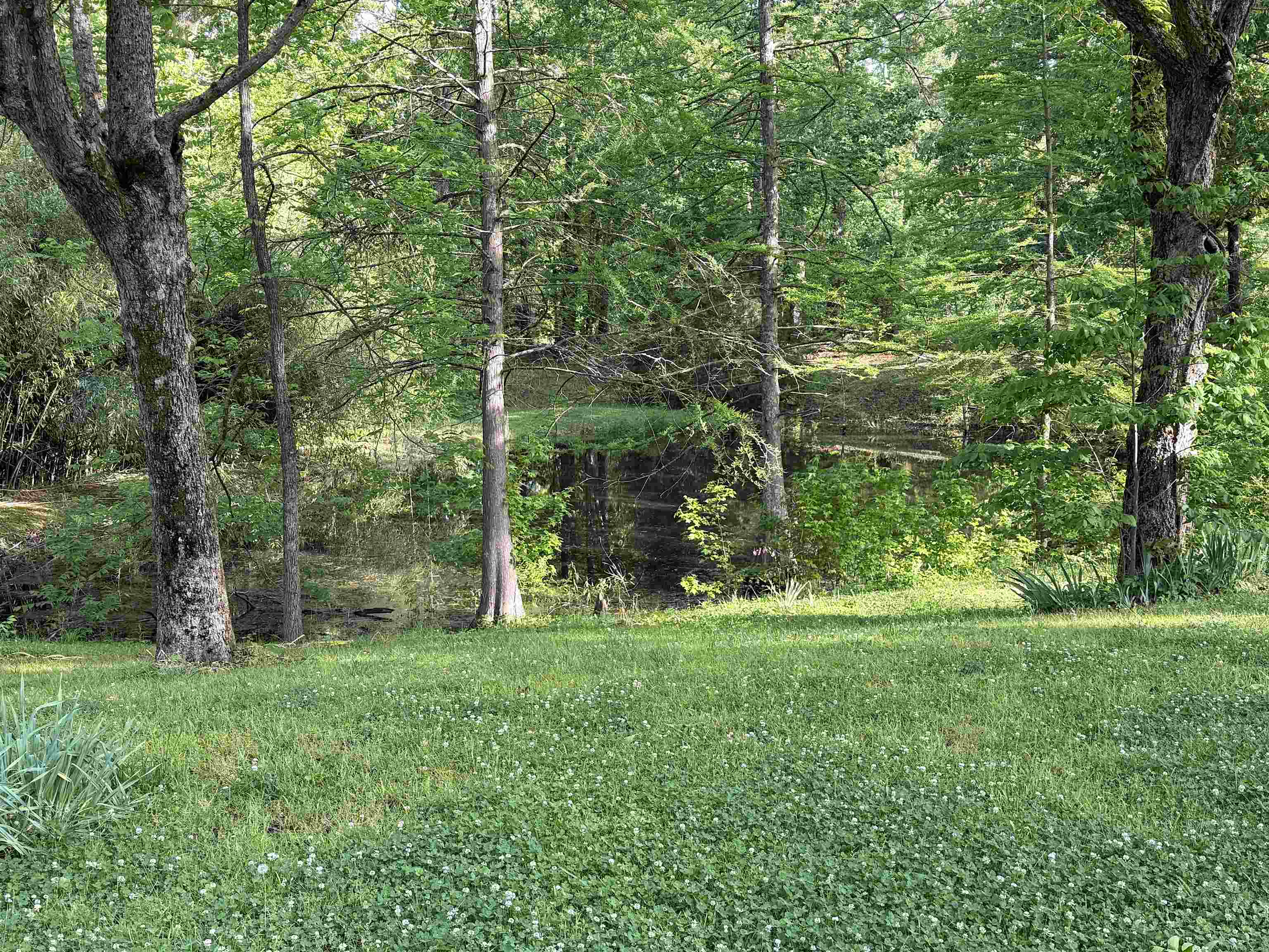 241 Mississippi 310 Rd Property Photo 24