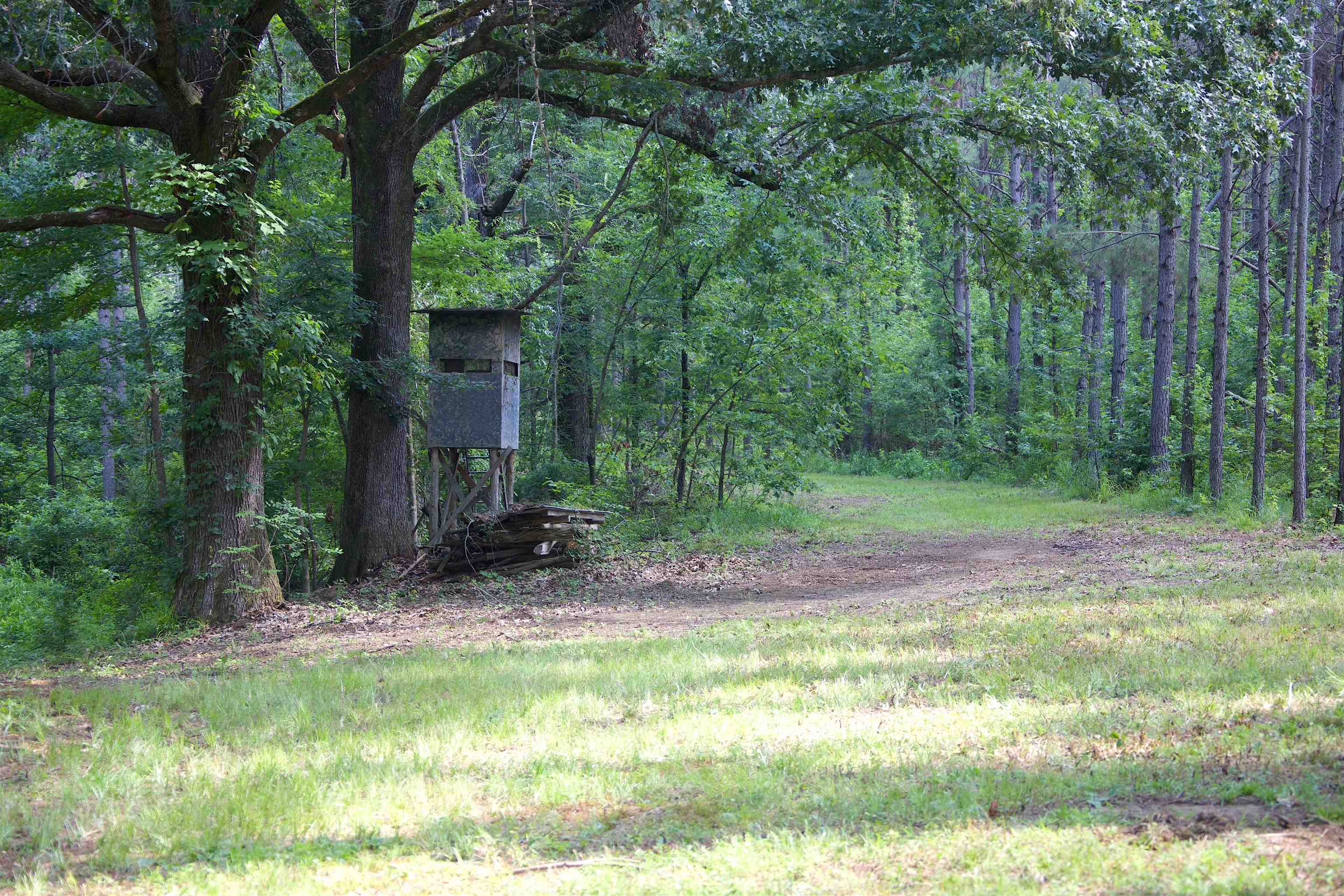 241 Mississippi 310 Rd Property Photo 25