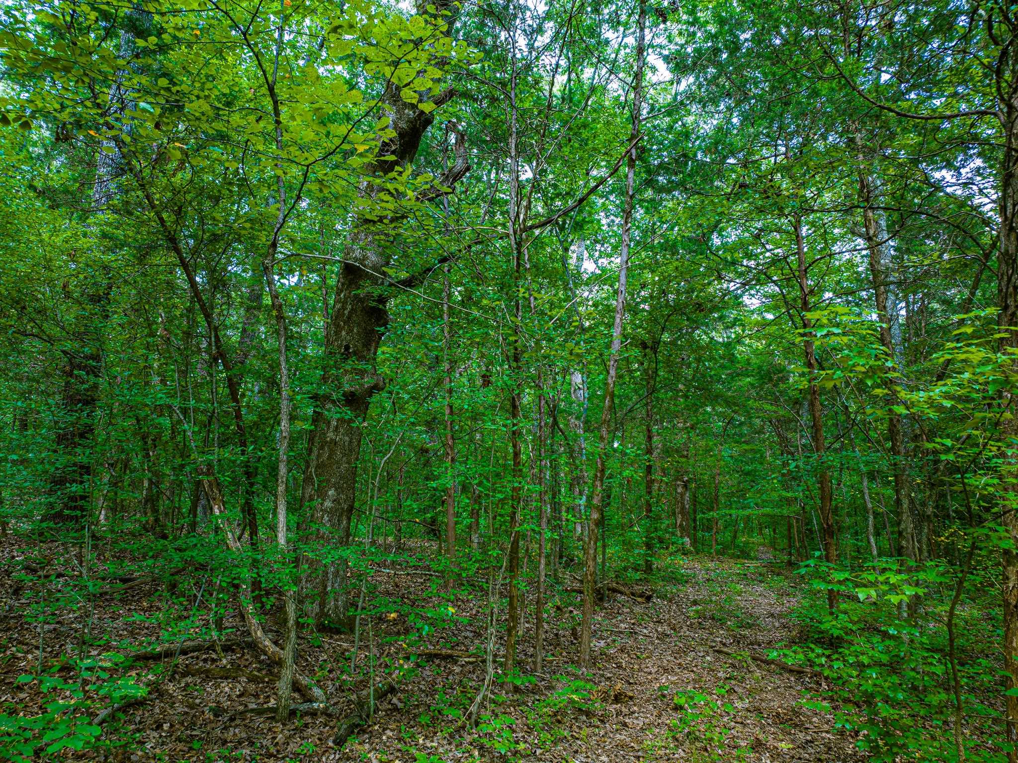 0 Palmer Rd Property Photo 34