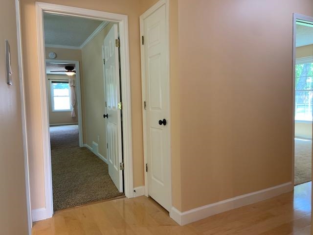 8038 Sparkling Lake Cv Property Photo 14