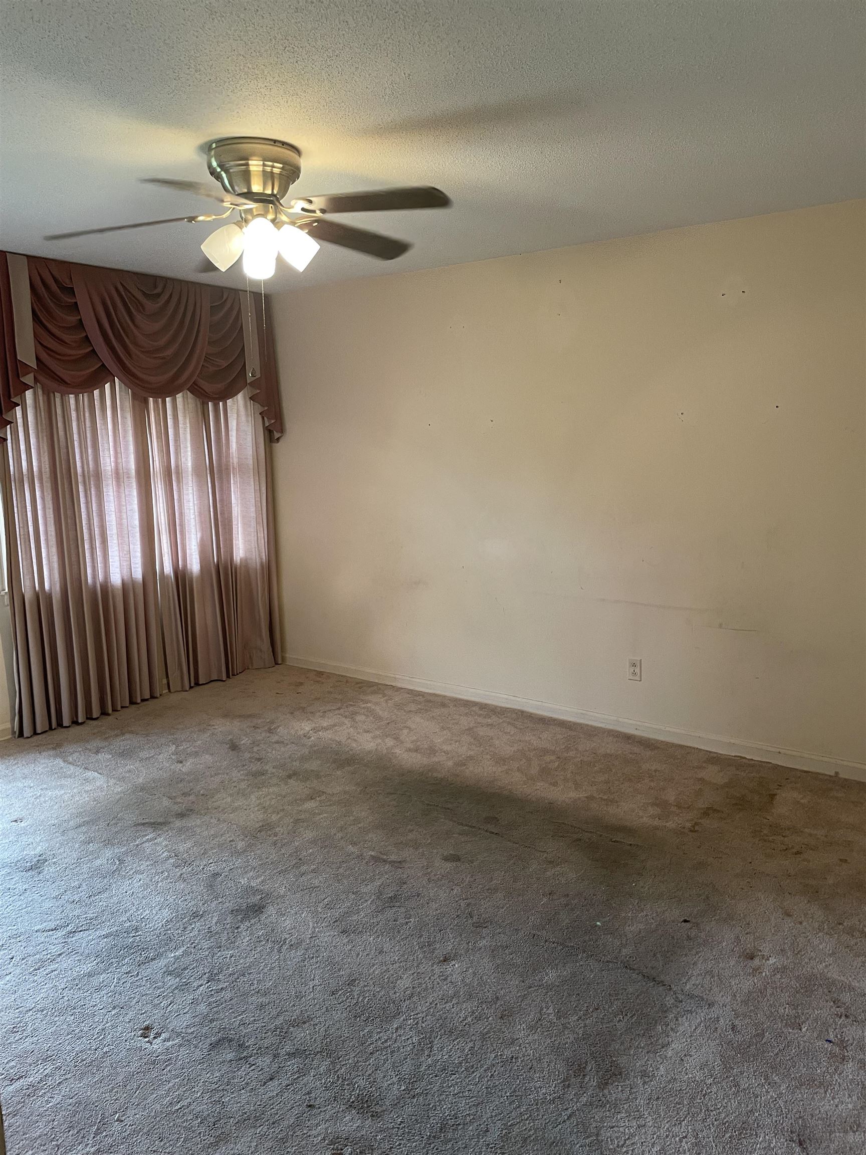 267 Blairmore Ave Property Photo 18