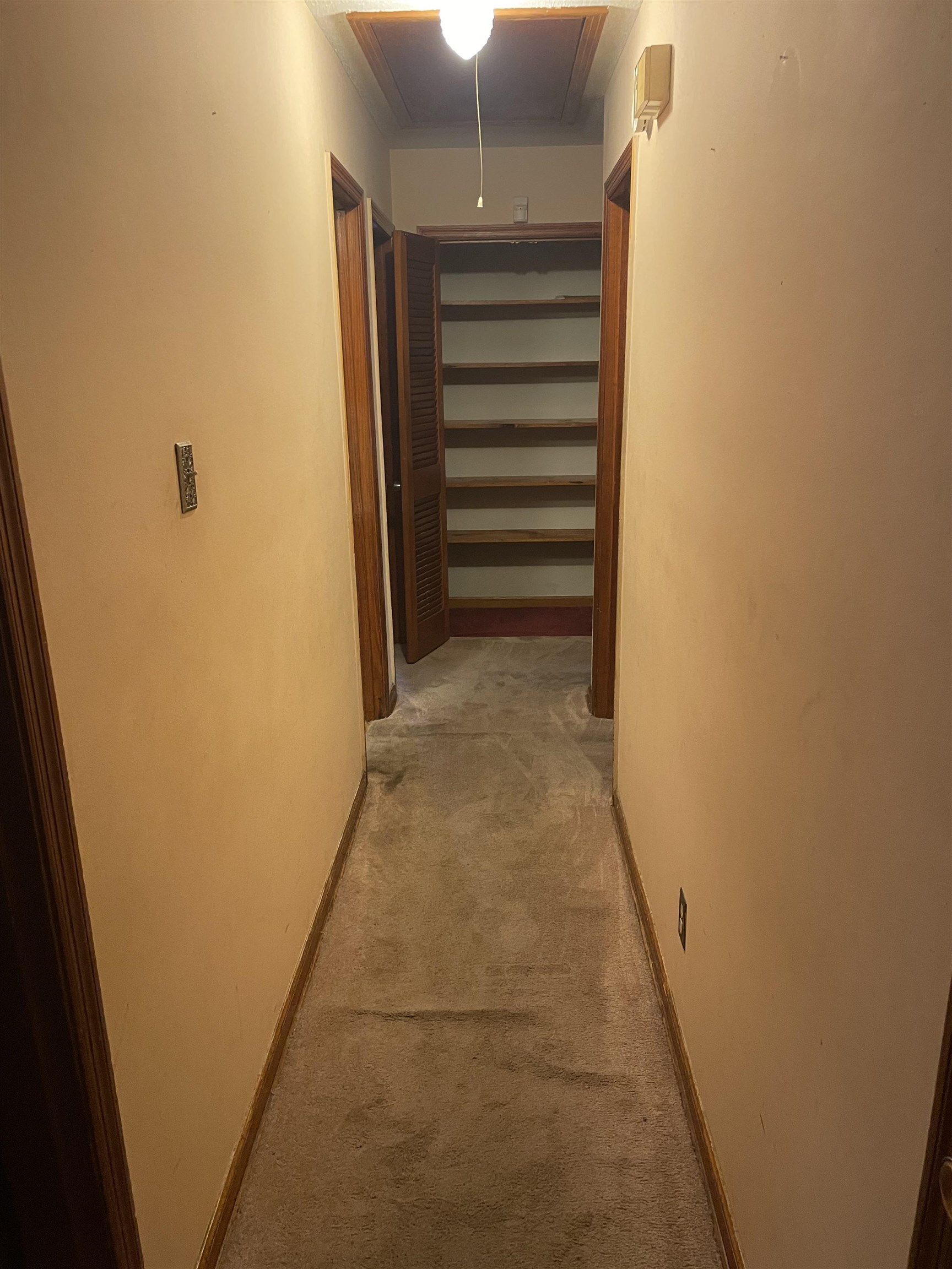 267 Blairmore Ave Property Photo 19
