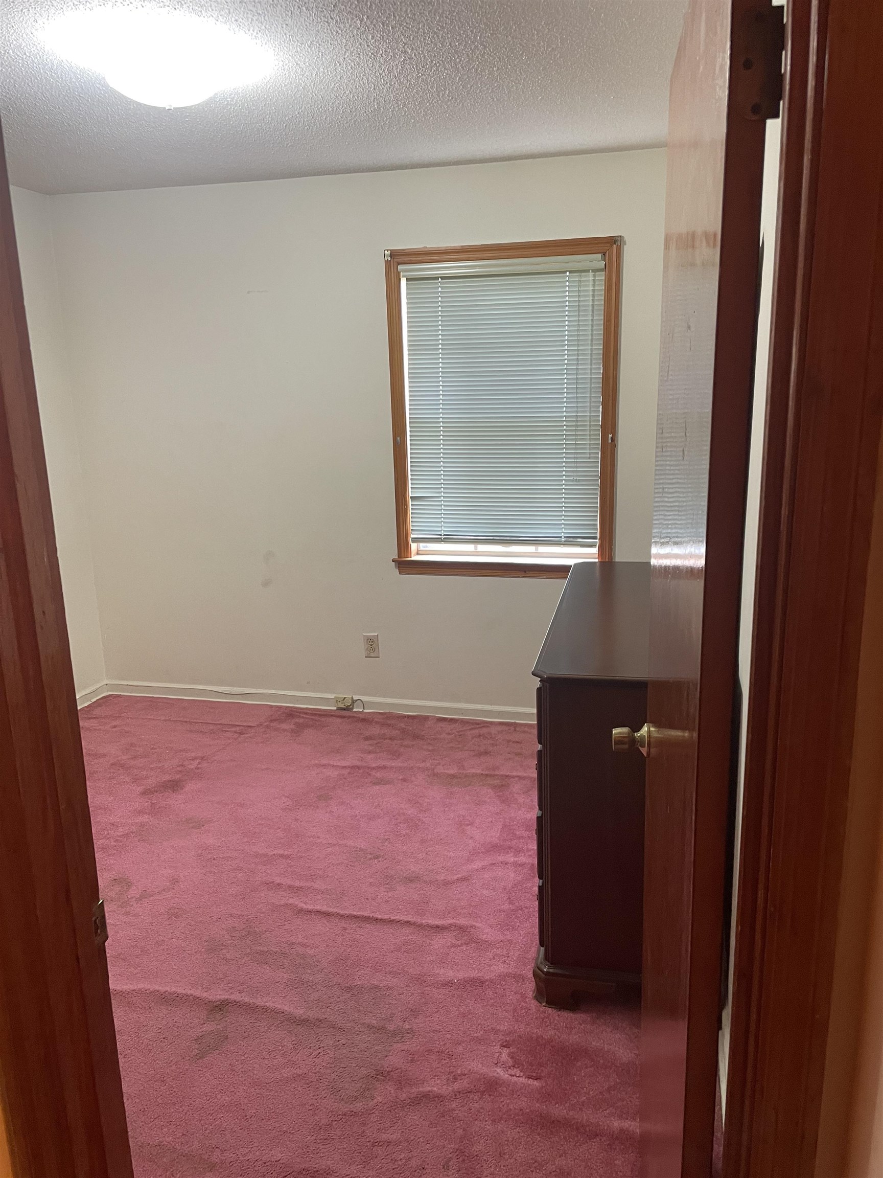 267 Blairmore Ave Property Photo 22