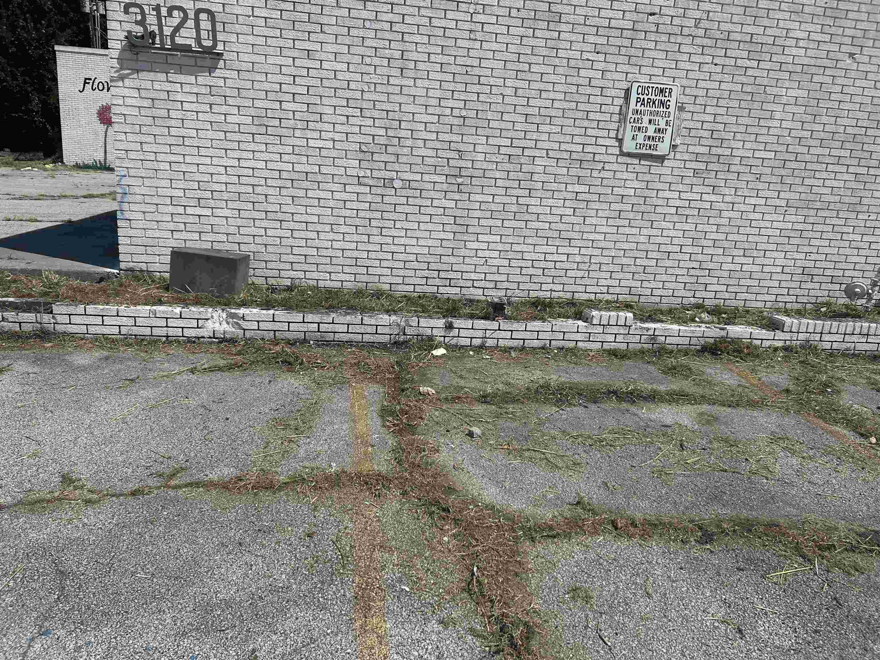 3120 Summer Ave Property Photo 3
