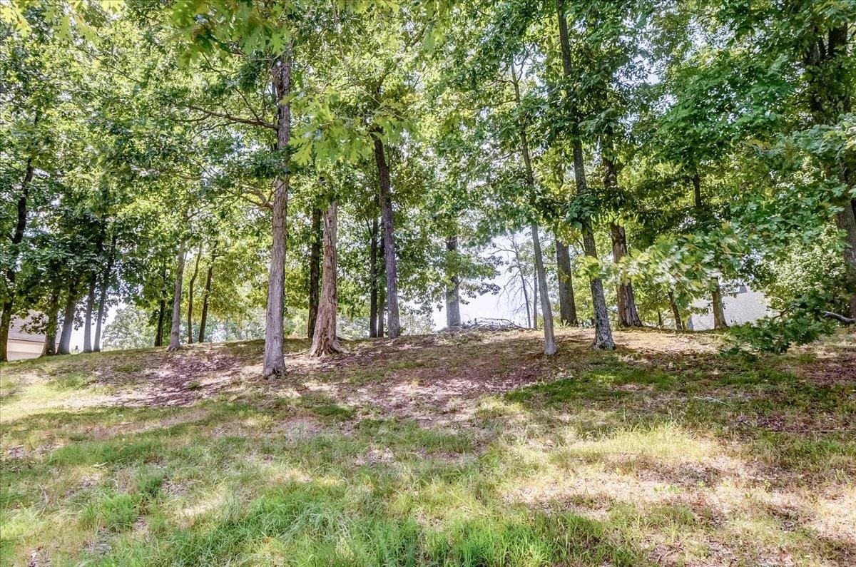 9956 Promontory Cv Property Photo 32