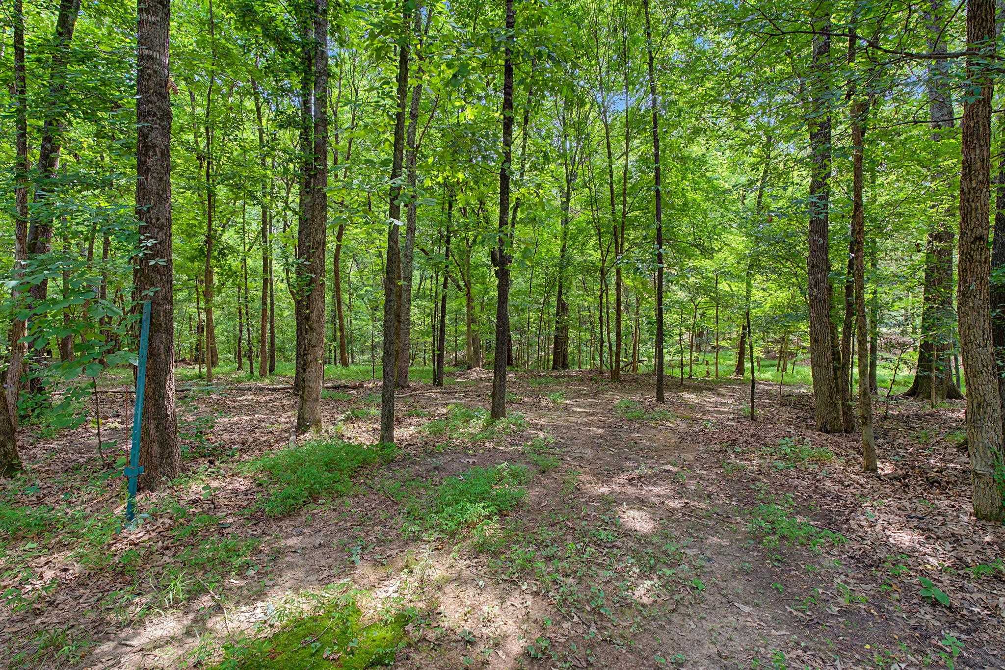 6648 Long Rd Property Photo 33
