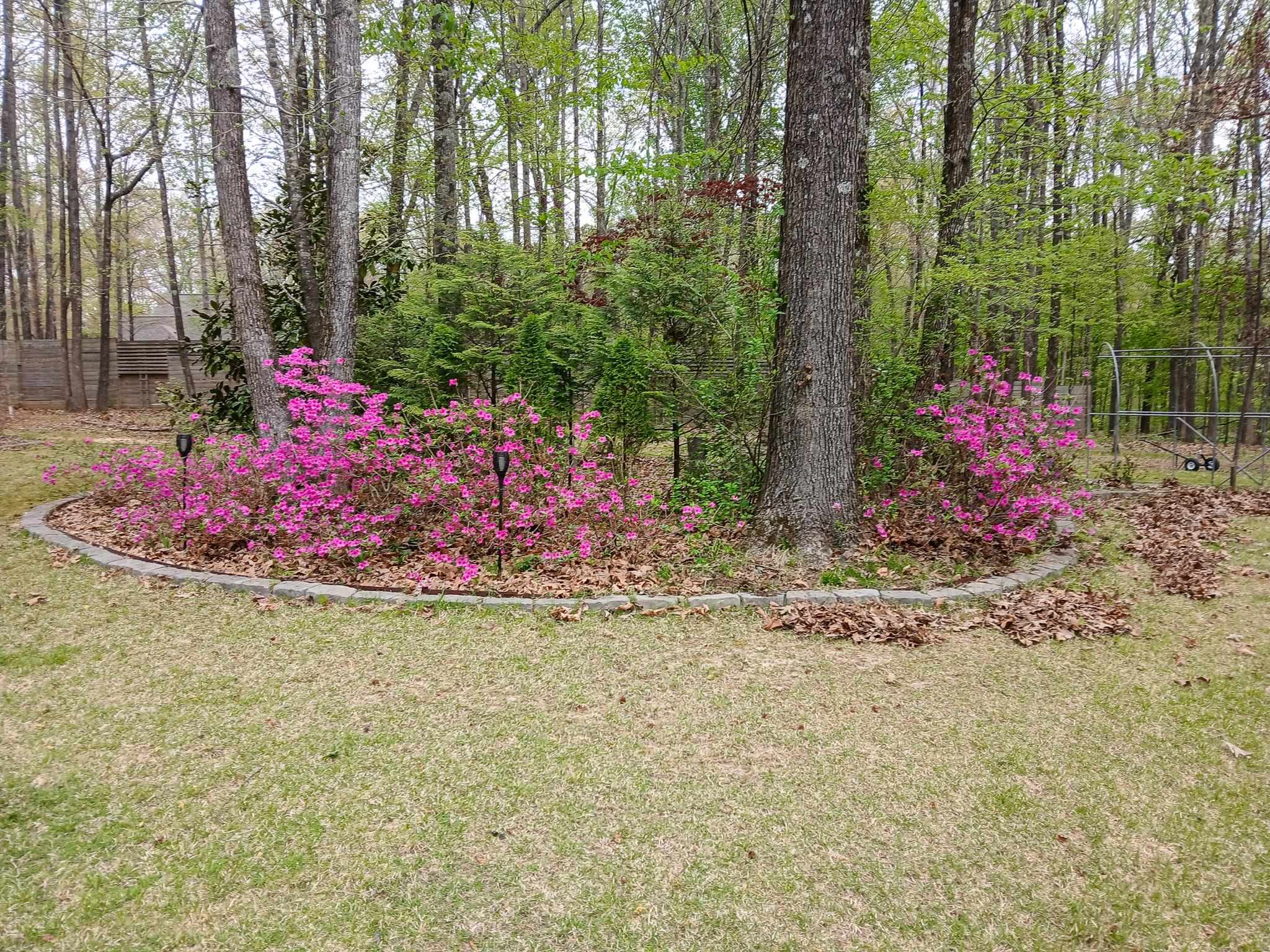 6648 Long Rd Property Photo 34