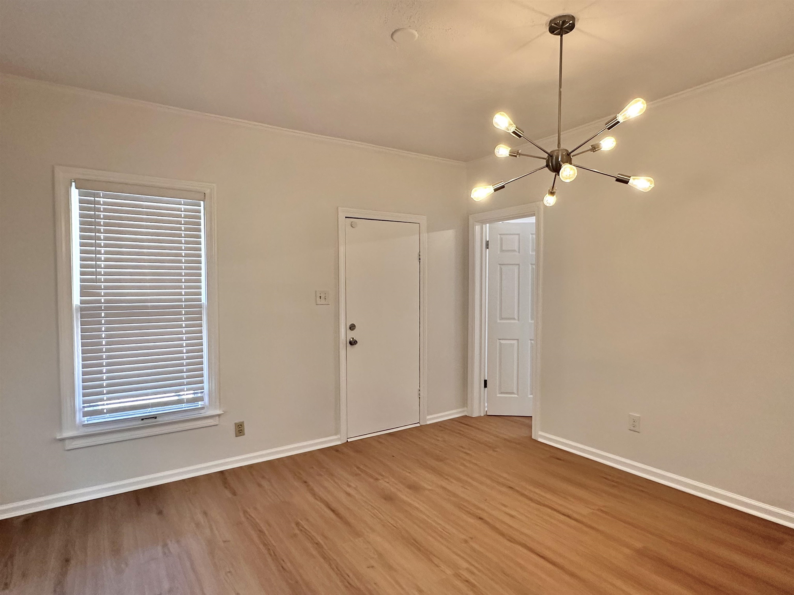 171 Marne St Property Photo 14