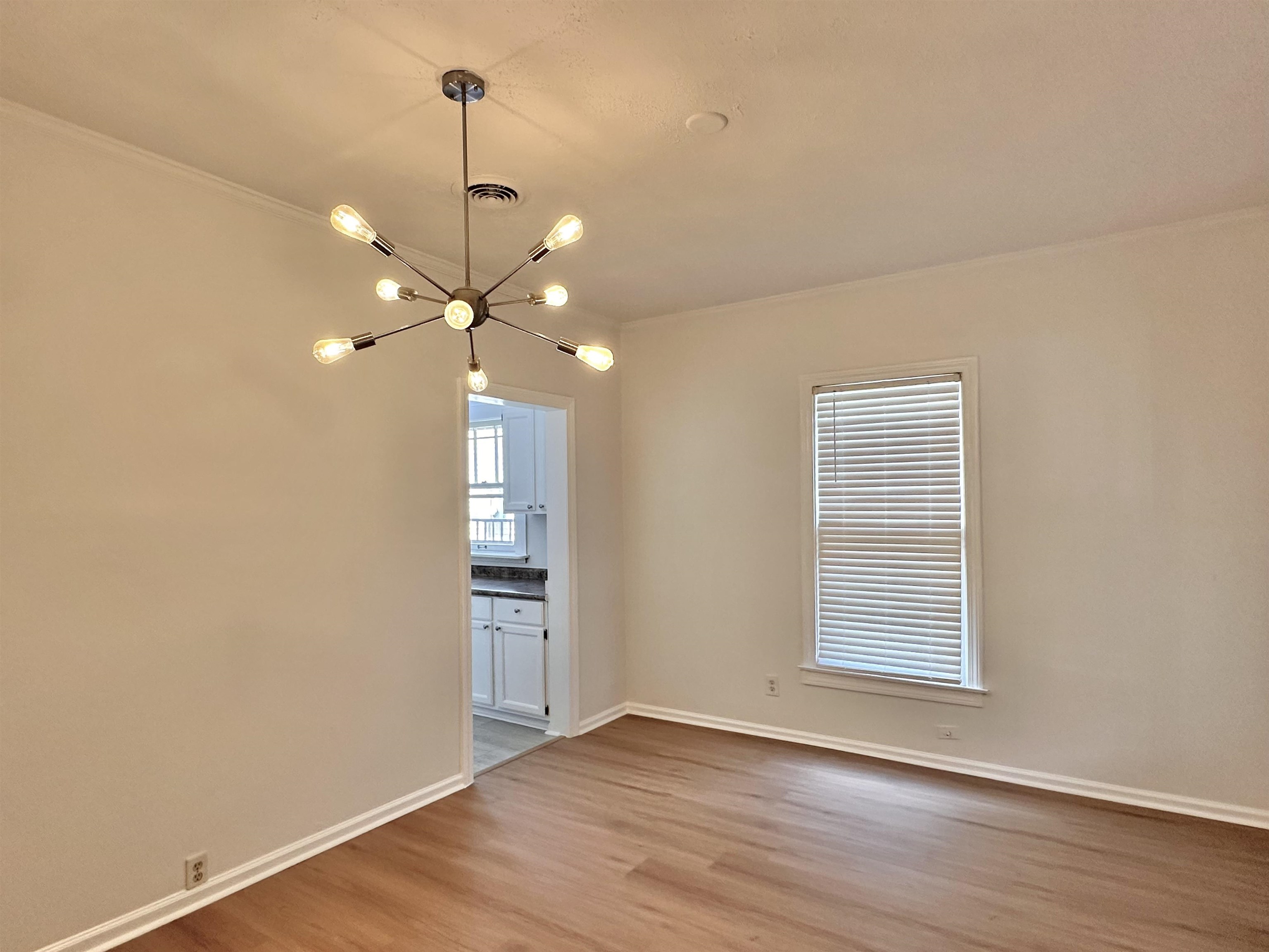 171 Marne St Property Photo 15